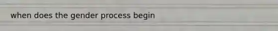 when does the gender process begin