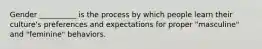 Gender __________ is the process by which people learn their culture's preferences and expectations for proper "masculine" and "feminine" behaviors.