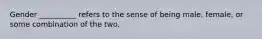 Gender __________ refers to the sense of being male, female, or some combination of the two.