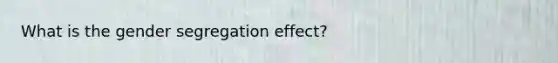 What is the gender segregation effect?