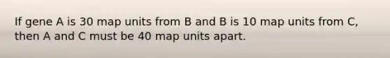 If gene A is 30 map units from B and B is 10 map units from C, then A and C must be 40 map units apart.