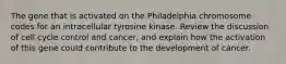 The gene that is activated on the Philadelphia chromosome codes for an intracellular tyrosine kinase. Review the discussion of cell cycle control and cancer, and explain how the activation of this gene could contribute to the development of cancer.