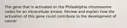 The gene that is activated on the Philadelphia chromosome codes for an intracellular kinase. Review and explain how the activation of this gene could contribute to the development of cancer