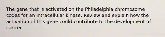 The gene that is activated on the Philadelphia chromosome codes for an intracellular kinase. Review and explain how the activation of this gene could contribute to the development of cancer