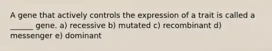 A gene that actively controls the expression of a trait is called a ______ gene. a) recessive b) mutated c) recombinant d) messenger e) dominant