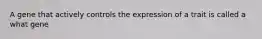 A gene that actively controls the expression of a trait is called a what gene