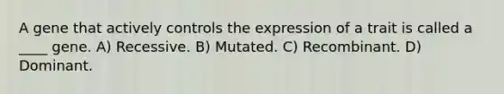 A gene that actively controls the expression of a trait is called a ____ gene. A) Recessive. B) Mutated. C) Recombinant. D) Dominant.