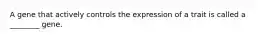 A gene that actively controls the expression of a trait is called a ________ gene.