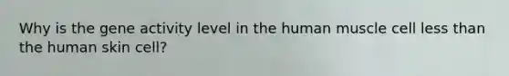 Why is the gene activity level in the human muscle cell less than the human skin cell?