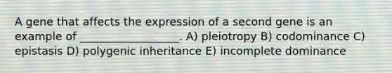 A gene that affects the expression of a second gene is an example of __________________. A) pleiotropy B) codominance C) epistasis D) polygenic inheritance E) incomplete dominance