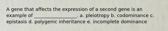 A gene that affects the expression of a second gene is an example of __________________. a. pleiotropy b. codominance c. epistasis d. polygenic inheritance e. incomplete dominance