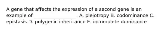 A gene that affects the expression of a second gene is an example of __________________. A. pleiotropy B. codominance C. epistasis D. polygenic inheritance E. incomplete dominance