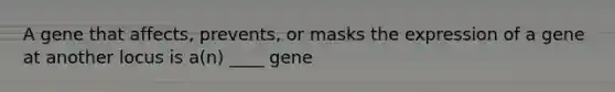 A gene that affects, prevents, or masks the expression of a gene at another locus is a(n) ____ gene