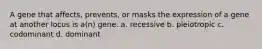 A gene that affects, prevents, or masks the expression of a gene at another locus is a(n) gene. a. recessive b. pleiotropic c. codominant d. dominant