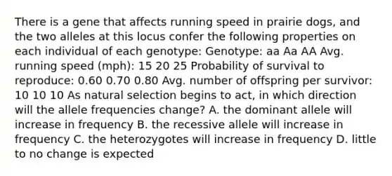 There is a gene that affects running speed in prairie dogs, and the two alleles at this locus confer the following properties on each individual of each genotype: Genotype: aa Aa AA Avg. running speed (mph): 15 20 25 Probability of survival to reproduce: 0.60 0.70 0.80 Avg. number of offspring per survivor: 10 10 10 As natural selection begins to act, in which direction will the allele frequencies change? A. the dominant allele will increase in frequency B. the recessive allele will increase in frequency C. the heterozygotes will increase in frequency D. little to no change is expected