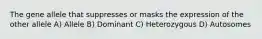 The gene allele that suppresses or masks the expression of the other allele A) Allele B) Dominant C) Heterozygous D) Autosomes