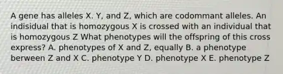 A gene has alleles X. Y, and Z, which are codommant alleles. An indisidual that is homozygous X is crossed with an individual that is homozygous Z What phenotypes will the offspring of this cross express? A. phenotypes of X and Z, equally B. a phenotype berween Z and X C. phenotype Y D. phenotype X E. phenotype Z