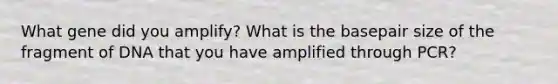 What gene did you amplify? What is the basepair size of the fragment of DNA that you have amplified through PCR?