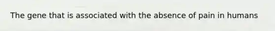 The gene that is associated with the absence of pain in humans