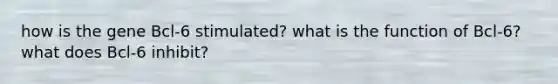 how is the gene Bcl-6 stimulated? what is the function of Bcl-6? what does Bcl-6 inhibit?