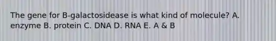 The gene for B-galactosidease is what kind of molecule? A. enzyme B. protein C. DNA D. RNA E. A & B