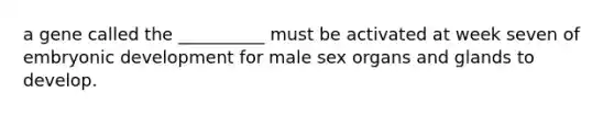 a gene called the __________ must be activated at week seven of embryonic development for male sex organs and glands to develop.