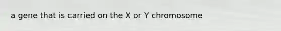 a gene that is carried on the X or Y chromosome