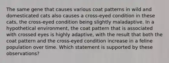 The same gene that causes various coat patterns in wild and domesticated cats also causes a cross-eyed condition in these cats, the cross-eyed condition being slightly maladaptive. In a hypothetical environment, the coat pattern that is associated with crossed eyes is highly adaptive, with the result that both the coat pattern and the cross-eyed condition increase in a feline population over time. Which statement is supported by these observations?