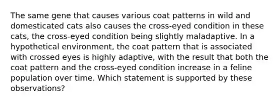 The same gene that causes various coat patterns in wild and domesticated cats also causes the cross-eyed condition in these cats, the cross-eyed condition being slightly maladaptive. In a hypothetical environment, the coat pattern that is associated with crossed eyes is highly adaptive, with the result that both the coat pattern and the cross-eyed condition increase in a feline population over time. Which statement is supported by these observations?