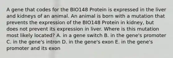 A gene that codes for the BIO148 Protein is expressed in the liver and kidneys of an animal. An animal is born with a mutation that prevents the expression of the BIO148 Protein in kidney, but does not prevent its expression in liver. Where is this mutation most likely located? A. in a gene switch B. in the gene's promoter C. in the gene's intron D. in the gene's exon E. in the gene's promoter and its exon