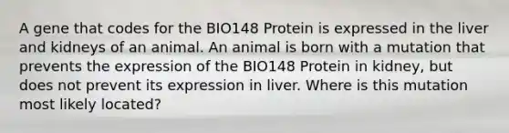 A gene that codes for the BIO148 Protein is expressed in the liver and kidneys of an animal. An animal is born with a mutation that prevents the expression of the BIO148 Protein in kidney, but does not prevent its expression in liver. Where is this mutation most likely located?