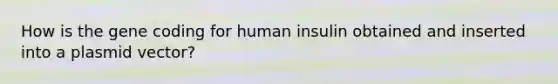 How is the gene coding for human insulin obtained and inserted into a plasmid vector?