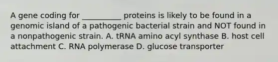 A gene coding for __________ proteins is likely to be found in a genomic island of a pathogenic bacterial strain and NOT found in a nonpathogenic strain. A. tRNA amino acyl synthase B. host cell attachment C. RNA polymerase D. glucose transporter