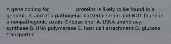 A gene coding for __________ proteins is likely to be found in a genomic island of a pathogenic bacterial strain and NOT found in a nonpathogenic strain. Choose one: A. tRNA amino acyl synthase B. RNA polymerase C. host cell attachment D. glucose transporter