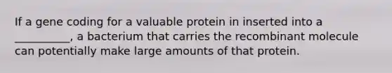 If a gene coding for a valuable protein in inserted into a __________, a bacterium that carries the recombinant molecule can potentially make large amounts of that protein.