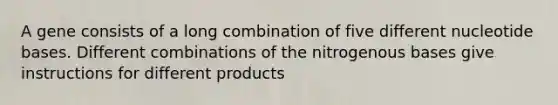 A gene consists of a long combination of five different nucleotide bases. Different combinations of the nitrogenous bases give instructions for different products