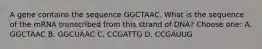 A gene contains the sequence GGCTAAC. What is the sequence of the mRNA transcribed from this strand of DNA? Choose one: A. GGCTAAC B. GGCUAAC C. CCGATTG D. CCGAUUG