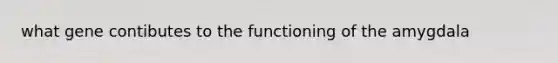 what gene contibutes to the functioning of the amygdala