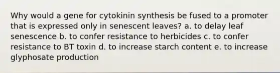 Why would a gene for cytokinin synthesis be fused to a promoter that is expressed only in senescent leaves? a. to delay leaf senescence b. to confer resistance to herbicides c. to confer resistance to BT toxin d. to increase starch content e. to increase glyphosate production