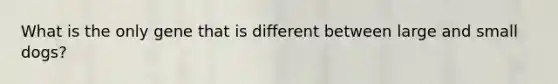 What is the only gene that is different between large and small dogs?