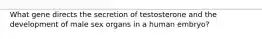 What gene directs the secretion of testosterone and the development of male sex organs in a human embryo?