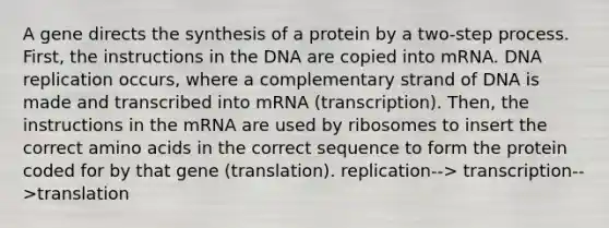 A gene directs the synthesis of a protein by a two-step process. First, the instructions in the DNA are copied into mRNA. DNA replication occurs, where a complementary strand of DNA is made and transcribed into mRNA (transcription). Then, the instructions in the mRNA are used by ribosomes to insert the correct amino acids in the correct sequence to form the protein coded for by that gene (translation). replication--> transcription-->translation