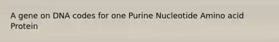 A gene on DNA codes for one Purine Nucleotide Amino acid Protein