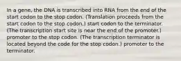 In a gene, the DNA is transcribed into RNA from the end of the start codon to the stop codon. (Translation proceeds from the start codon to the stop codon.) start codon to the terminator. (The transcription start site is near the end of the promoter.) promoter to the stop codon. (The transcription terminator is located beyond the code for the stop codon.) promoter to the terminator.