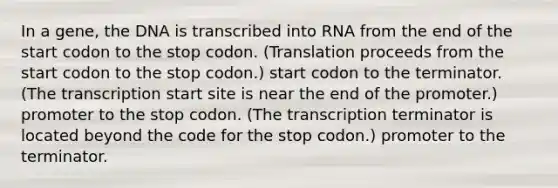 In a gene, the DNA is transcribed into RNA from the end of the start codon to the stop codon. (Translation proceeds from the start codon to the stop codon.) start codon to the terminator. (The transcription start site is near the end of the promoter.) promoter to the stop codon. (The transcription terminator is located beyond the code for the stop codon.) promoter to the terminator.