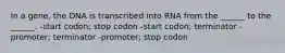 In a gene, the DNA is transcribed into RNA from the ______ to the ______. -start codon; stop codon -start codon; terminator -promoter; terminator -promoter; stop codon