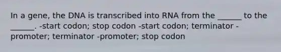 In a gene, the DNA is transcribed into RNA from the ______ to the ______. -start codon; stop codon -start codon; terminator -promoter; terminator -promoter; stop codon