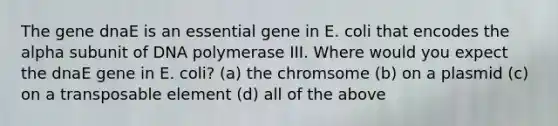 The gene dnaE is an essential gene in E. coli that encodes the alpha subunit of DNA polymerase III. Where would you expect the dnaE gene in E. coli? (a) the chromsome (b) on a plasmid (c) on a transposable element (d) all of the above