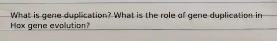 What is gene duplication? What is the role of gene duplication in Hox gene evolution?