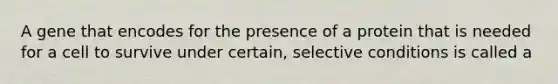 A gene that encodes for the presence of a protein that is needed for a cell to survive under certain, selective conditions is called a